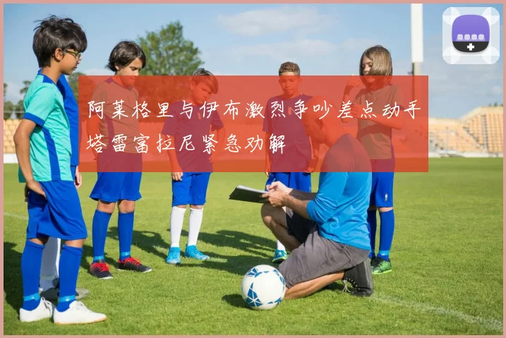 阿莱格里与伊布激烈争吵差点动手塔雷富拉尼紧急劝解